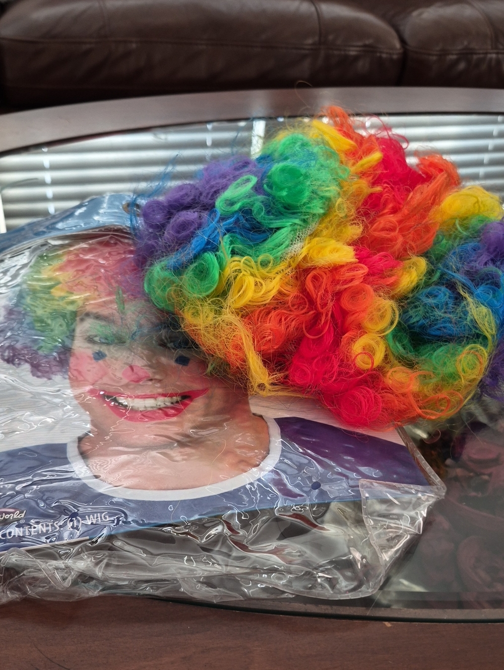 Rainbow Curly Clown Wig - Multicolor